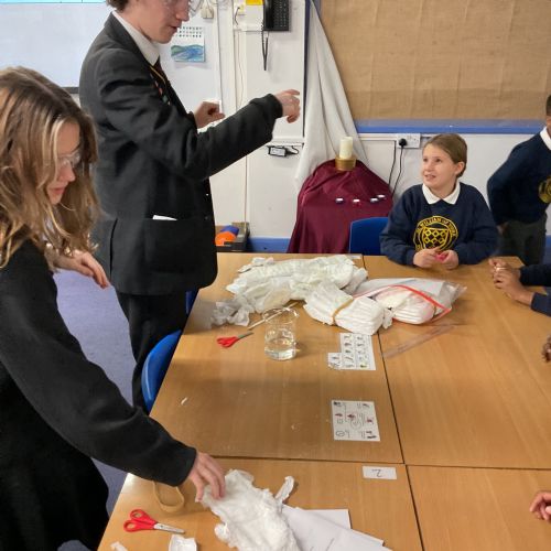 Year 4 - Science Ambassadors