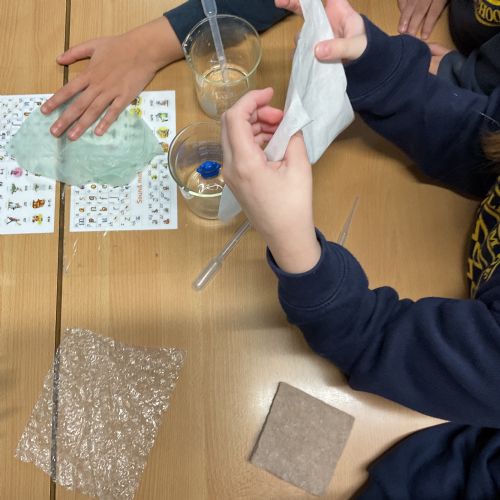 Year 2 - Waterproof Science Experiment