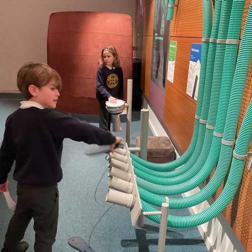 Year 5 - Horniman Museum
